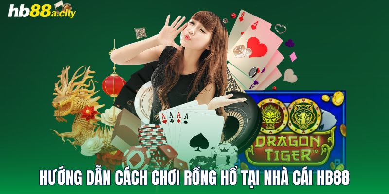 Hướng dẫn cách chơi Rồng Hổ tại nhà cái HB88