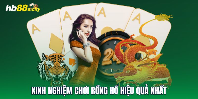 Kinh nghiệm chơi Rồng Hổ hiệu quả nhất