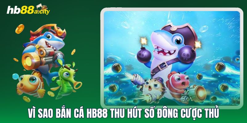 Vì sao Bắn Cá HB88 thu hút số đông cược thủ